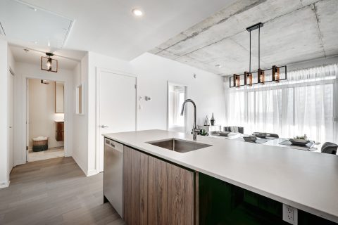 Agincourt Brand New Kitchen Reno